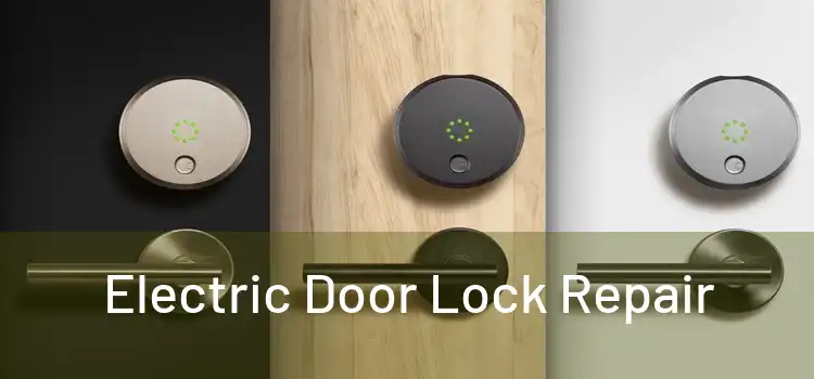  Electric Door Lock Repair 
